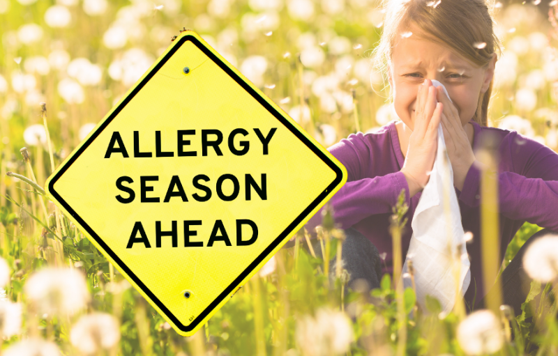 Alergias Sazonais? Descubra o que fazer!
